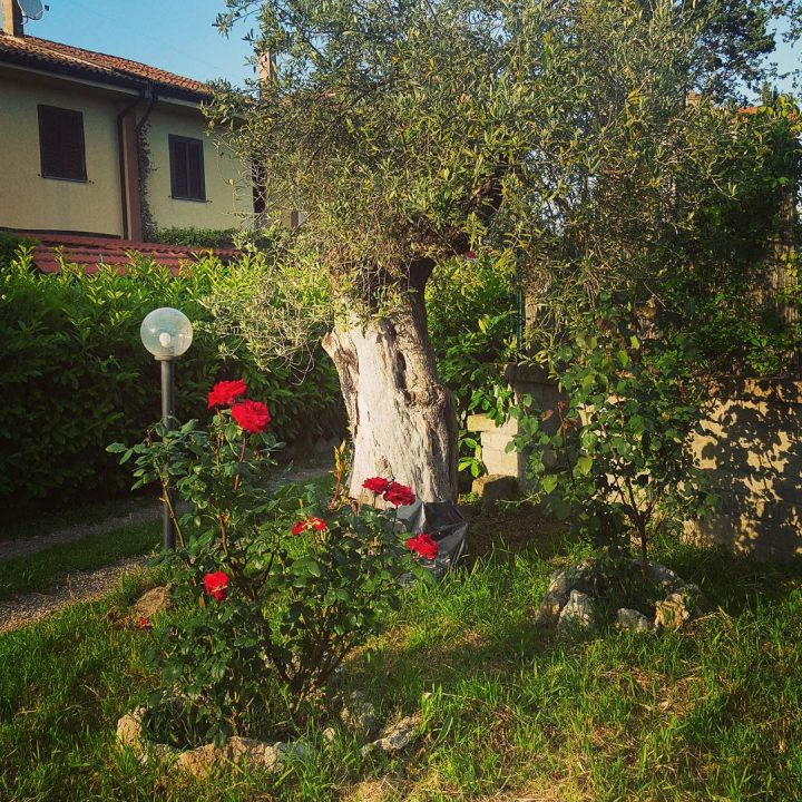 B&B Pianoscarano giardino